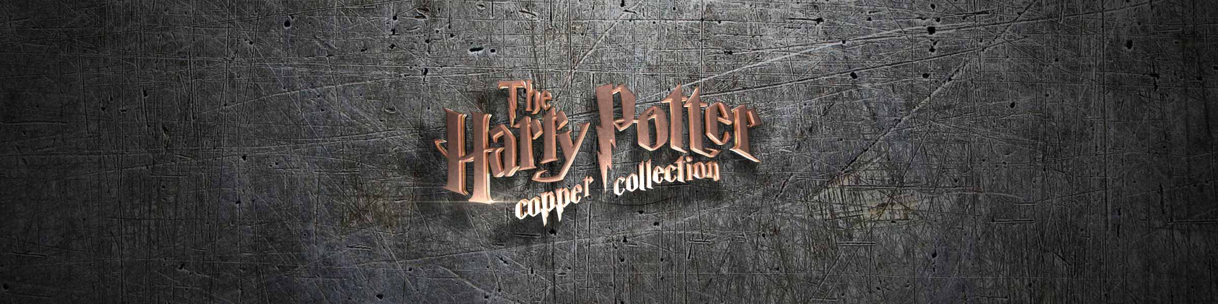 Harry Potter Copper Pin Collection
